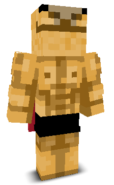 User's Minecraft appearance