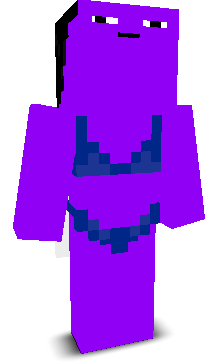User's Minecraft appearance
