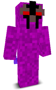 User's Minecraft appearance