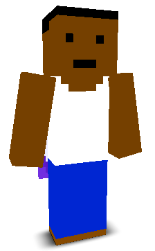 User's Minecraft appearance