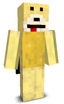 User's Minecraft appearance