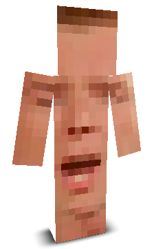 User's Minecraft appearance