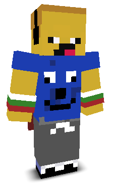 User's Minecraft appearance