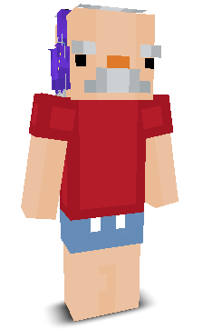 User's Minecraft appearance
