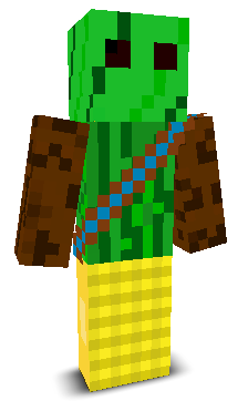 User's Minecraft appearance