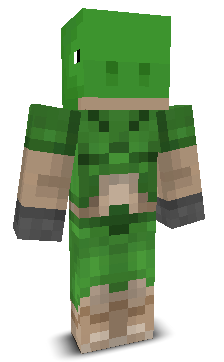 User's Minecraft appearance