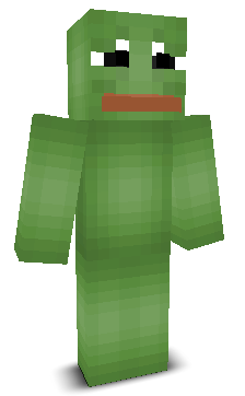 User's Minecraft appearance