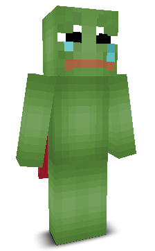 User's Minecraft appearance
