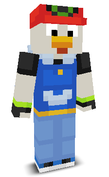 User's Minecraft appearance