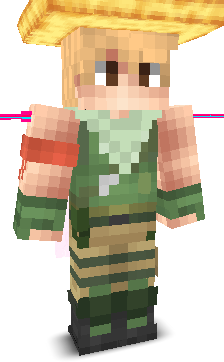 User's Minecraft appearance