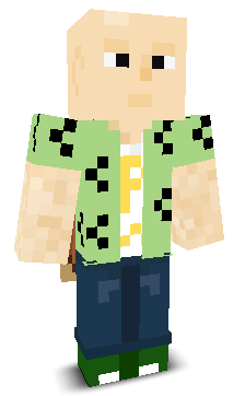 User's Minecraft appearance