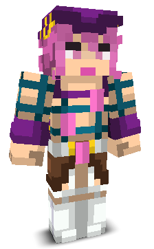 User's Minecraft appearance