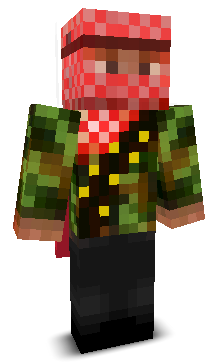 User's Minecraft appearance