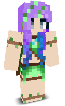 User's Minecraft appearance