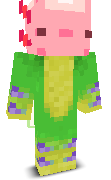User's Minecraft appearance