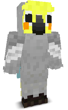 User's Minecraft appearance