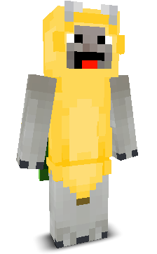 User's Minecraft appearance