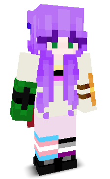 User's Minecraft appearance