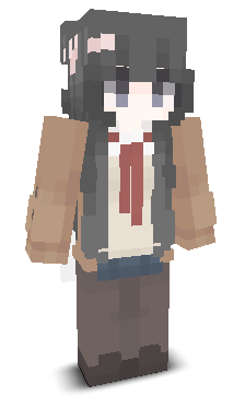 User's Minecraft appearance