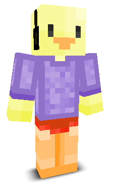 User's Minecraft appearance