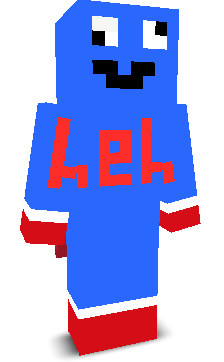 User's Minecraft appearance