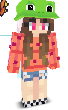 User's Minecraft appearance