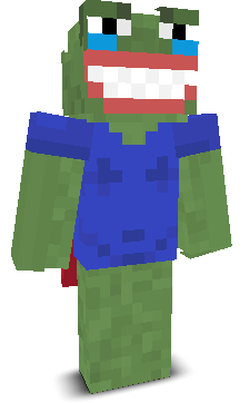 User's Minecraft appearance