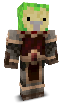 User's Minecraft appearance