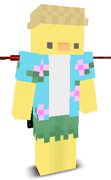 User's Minecraft appearance
