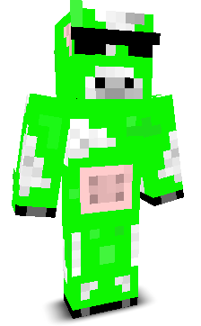 User's Minecraft appearance