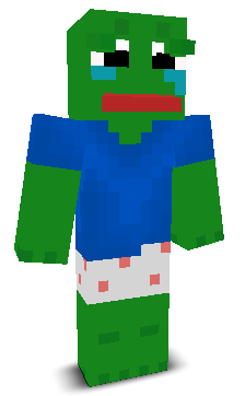User's Minecraft appearance