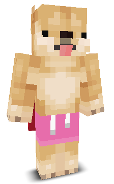 User's Minecraft appearance