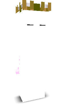User's Minecraft appearance