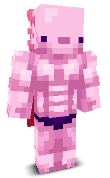 User's Minecraft appearance