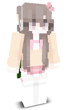 User's Minecraft appearance