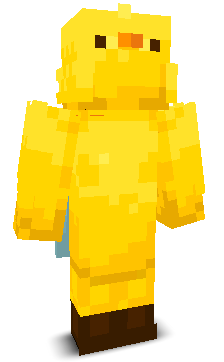 User's Minecraft appearance