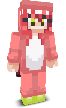 User's Minecraft appearance