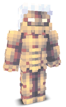 User's Minecraft appearance