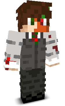 Skin gracza Sylwek404
