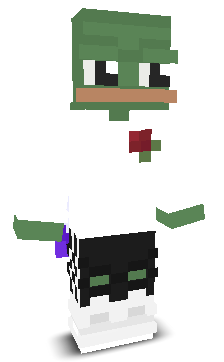 User's Minecraft appearance