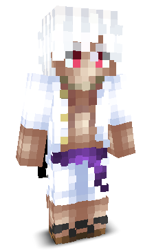 User's Minecraft appearance