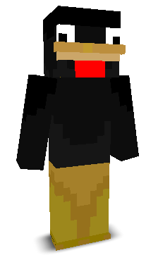 User's Minecraft appearance