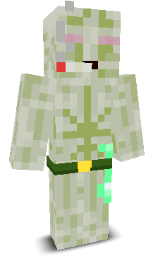 User's Minecraft appearance