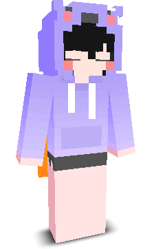 User's Minecraft appearance