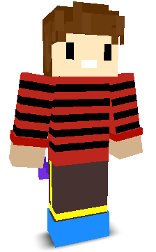 User's Minecraft appearance