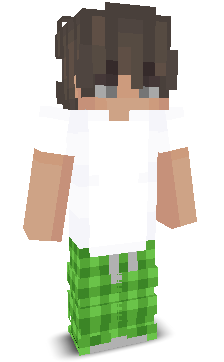 User's Minecraft appearance