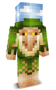 User's Minecraft appearance