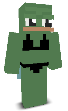 User's Minecraft appearance