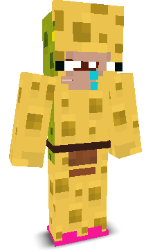 User's Minecraft appearance