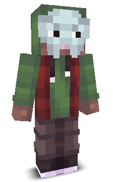 User's Minecraft appearance